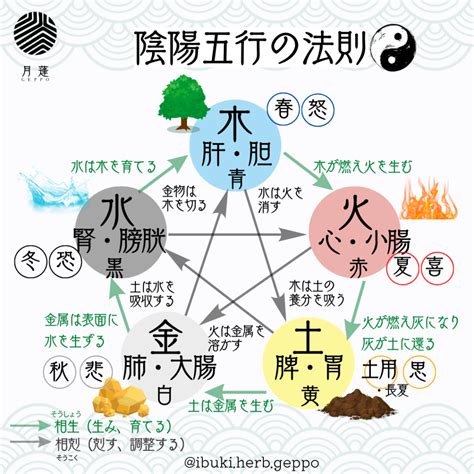 陰土人|五行